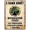 ОСТОРОЖНО СОБАКА Забавная Шнауцер Металлическая Табличка Декор для Питомца 20x30см