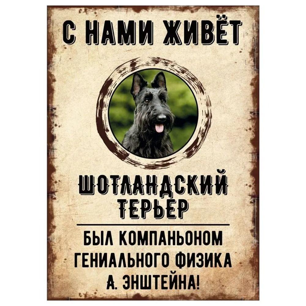ОСТОРОЖНО СОБАКА Забавная Шнауцер Металлическая Табличка Декор для Питомца 20x30см