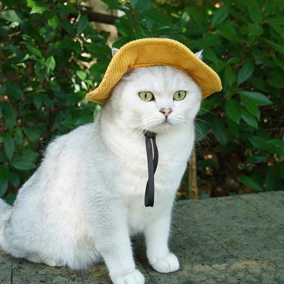 Милая шляпа ковбоя для питомца с козырьком, открытые уши, милая кошачья шляпа, летние принадлежности для наряжания питомцев