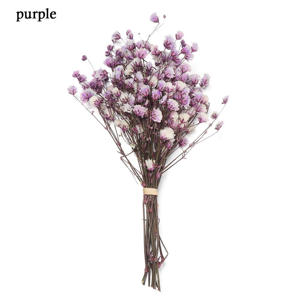 Натуральные Материалы Домашний Декор Живые Цветы Мини Гипсофила Натуральные Сушеные Букеты Растительные Стебли