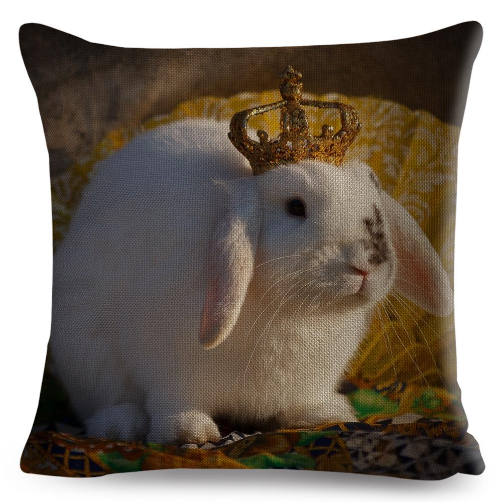 High Resolution Animal Photography Print Cushion xcm Realistic Rabbit Imagery Soft Natural Lighting Gentle Color Palette