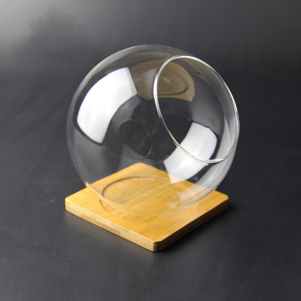 Круглая стеклянная ваза с косым горлышком для суккулентов и микроландшафтов