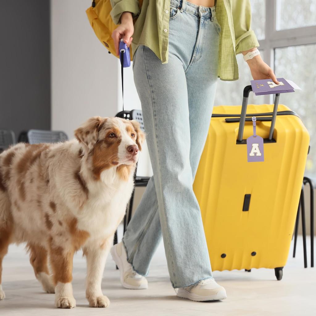 PATIKIL Набор дорожных бирок для паспорта и багажа с обложкой для паспорта с инициалом и буквой-шевроном, дорожная сумка-кошелек, идентификатор чемодана для женщин и