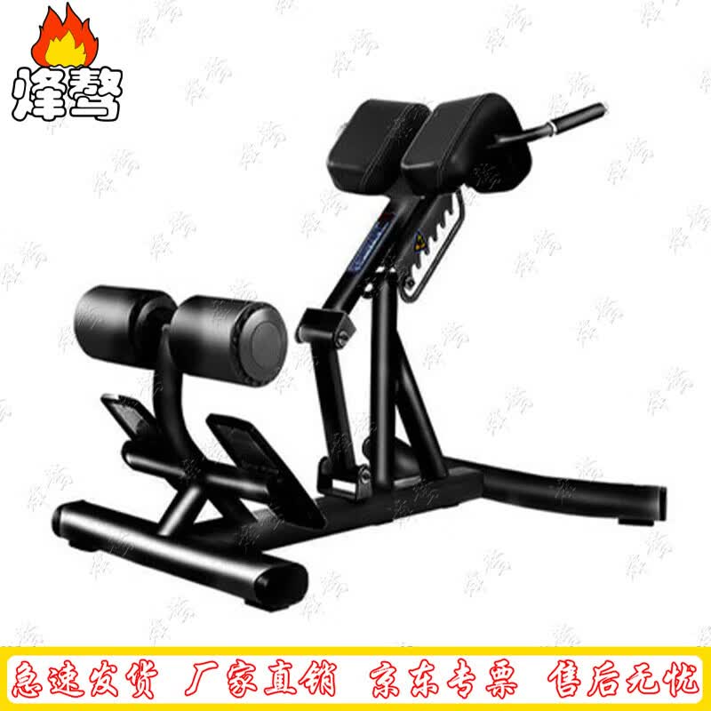 Adjustable Roman Chair Back Extension Machine