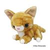 Naito Design Institute Is Little Mascot Tiger Cat Plush Approximately 8cm Long "Together Good" Toy,