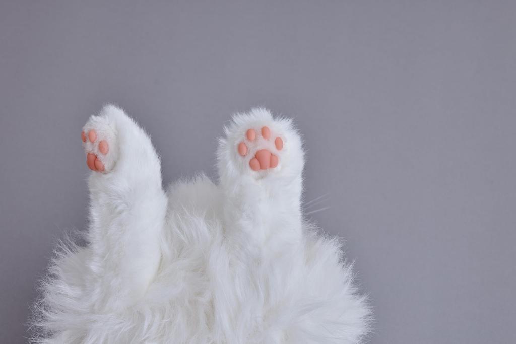 SEGA FAVE KIMIT Ragdoll Pet Robot Cat (White)