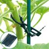 (Nikita) Garden Plant Ties ReUsable Plastic Tie Greenhouse Multi Purpose Tree