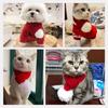 Small Dog Santa Hat with Scarf Christmas Cats Costume Halloweens Pet Costume for Party Make Up