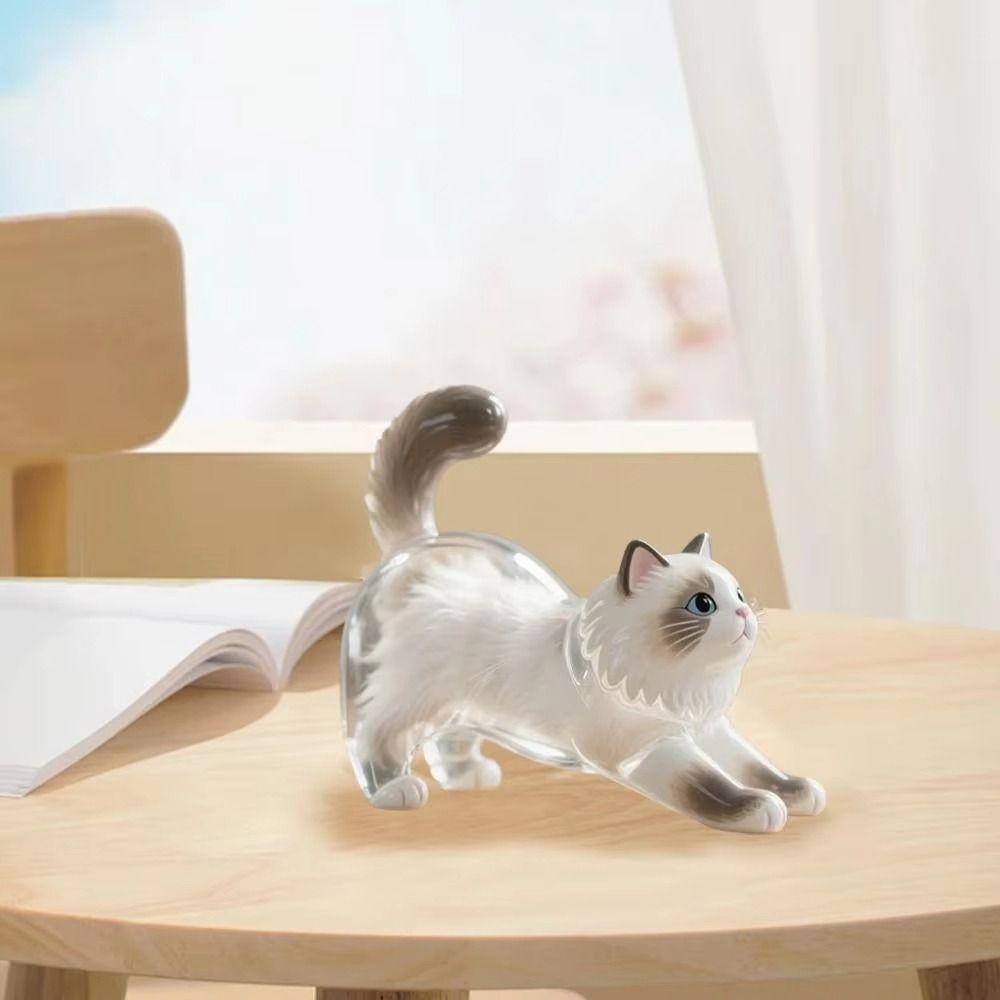 Handmade Cat Hair Storage Box Transparent Dog Fur Storage Pendant  Pet Souvenirs