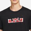 Nike Dri-Fit Lebron Баскетбольная футболка с принтом льва и короной с ручной росписью, мужские топы с короткими рукавами, черные DR1292-010