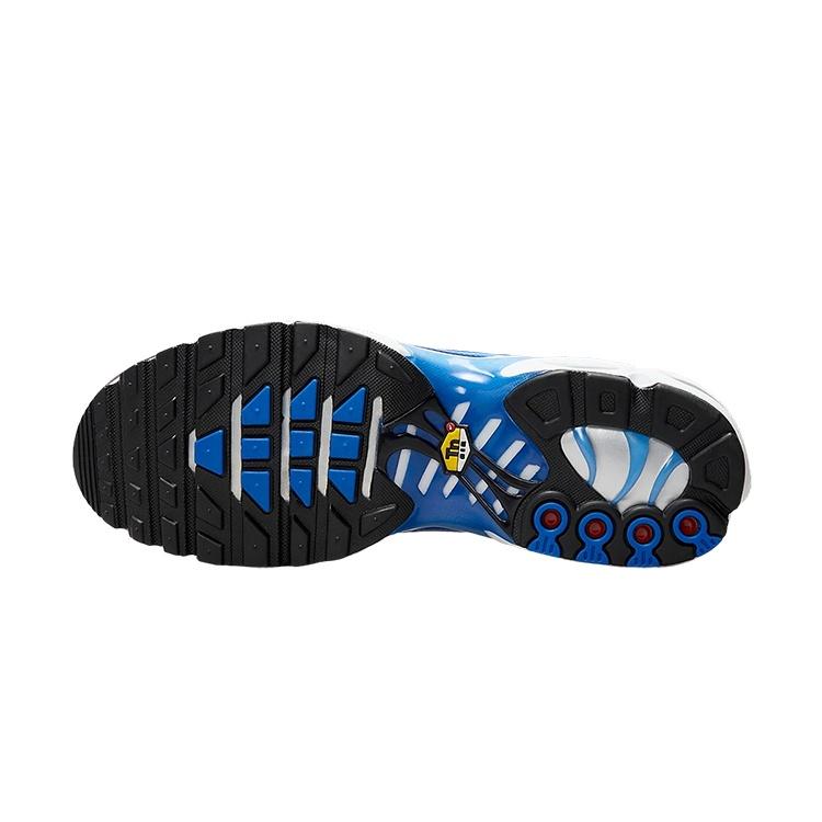 Nike Air Max Plus 'Light Photography - Old Royal' Мужские DZ3531-400