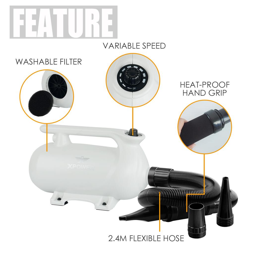 XPOWER B-163 Малошумный фен для домашних животных Комплект фена для шерсти домашних животных Горячий прибор Ленточный вентилятор Вилка ЕС