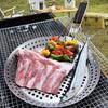 Circular BBQ Plate Folding Wood Handle Grill Fry Pan Portable Barbecue Tray  Outdoor Barbecue