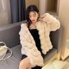 Winter Women's Coat Short Temperament Celebrity Plush Collarless Top Short Coat