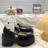 Wear-resistant Heightening Fashionable Foreign Style Versatile Mary Jane Shoes Women's Spring 2025 New Non-slip Niche Platform Single Shoes