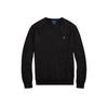 Свитер Polo Ralph Lauren Ls Sf Vn Pp