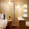 Arayuru LED Floor Lamp with Bulb, Ambient Lighting, Stand Lamp, Remote Control, Switched Power Cord, Color Adjustable