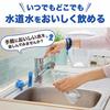 DAFI Portable Water Purifier Bottle with Cartridge (Lime, 500ml) [Japan Specification/Official Japanese Product]