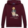 Polo Ralph Lauren Hoodie FW25 Pattern Print Long Sleeve Hooded Kids Kids Hoodies 323979491-001