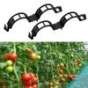 50/100 шт. зажимы для растений, простые в использовании пластиковые зажимы для поддержки растений, прозрачные зажимы для томатов, полый дизайн, зажим для поддержки стебля