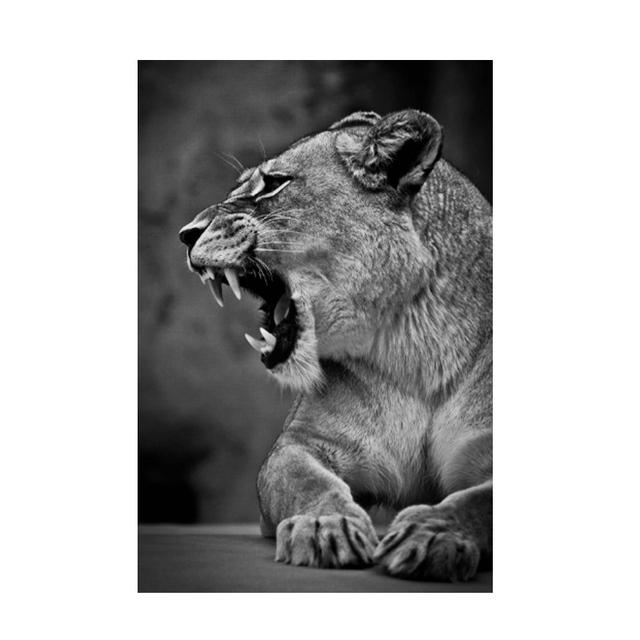 Canvas Painting Modern Wild Animal Black and White Kissing Lions Head Wall Art Pictures for Living Room Cuadros Home Decoration No Frame
