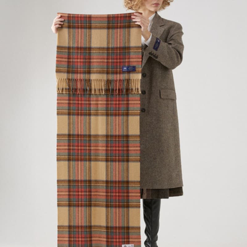 ABRAHAM MOON Шарф-шаль из мериносовой шерсти 50 см - Античный Дресс Стюарт