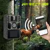 FKPCAM 2025 Newest Trail Solar Infrared Compatible with Wildlife Surveillance Security Surveillance Seconds Trigger 64MP 4K 1 Solar Panel 2