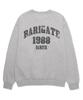 Baligeiteu 1988 Свитшот оверсайз с трещинами (Bls021) Меланж серый (Тип)