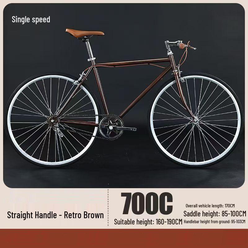 Chuanqin Retro Road Bike