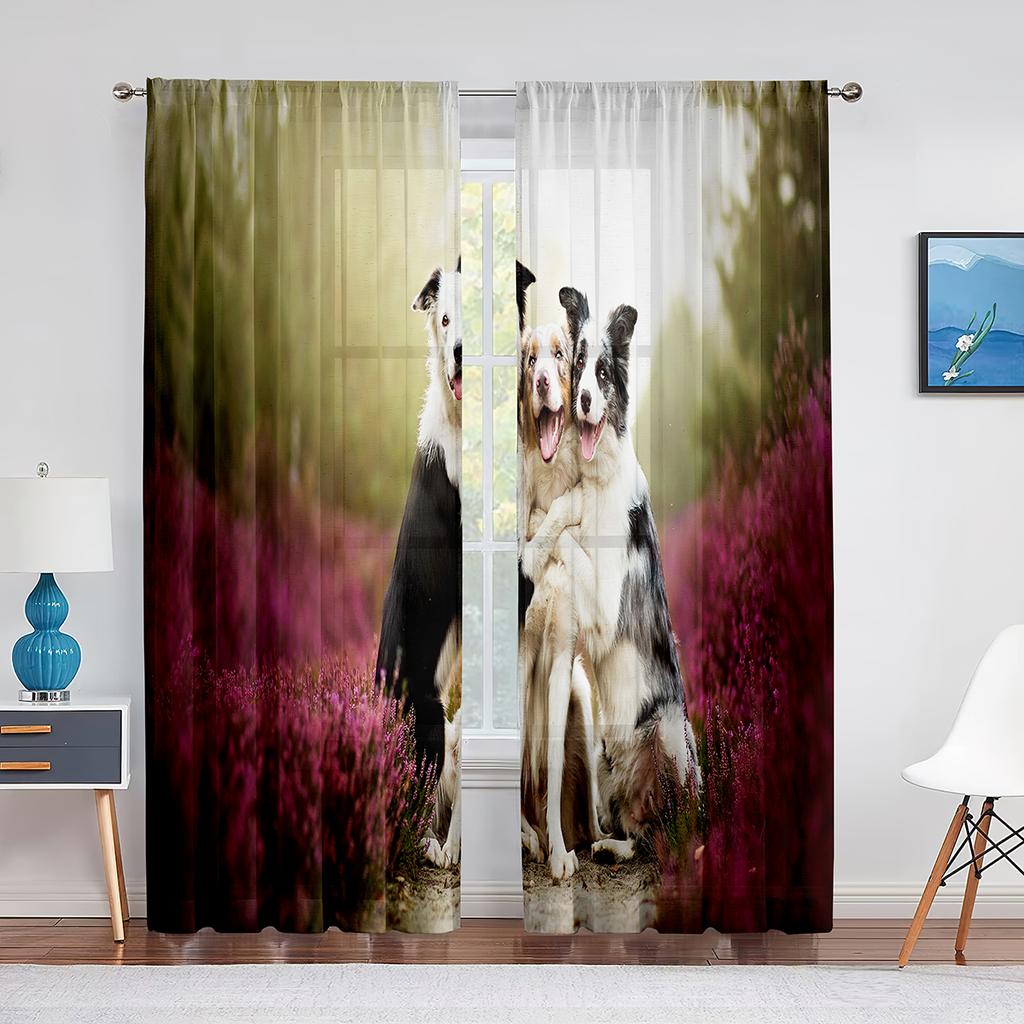 Тюлевые шторы с изображением собаки, австралийской овчарки, розовыми цветами для декора гостиной, спальни, прозрачные прозрачные занавески из вуали