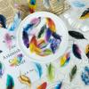 50 Various Colorful Feather Graffiti Stickers Decorated Transparent Waterproof Pet Stickers