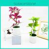 Simulated Multi Color Leaves Potted Artificial Plant Decoration Ornament