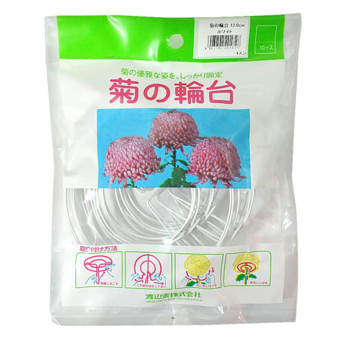 Watanabe Yasushi Chrysanthemum Ring Stand, White, 12.0cm, Pack of 10