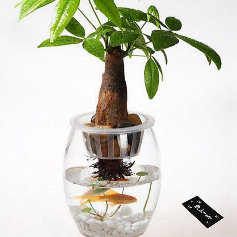 5pcs Plastic Mesh Pots Net Cloning Basket Hydroponic Aquarium Insert Plants Growth Flower Pot Tray Garden Supplies