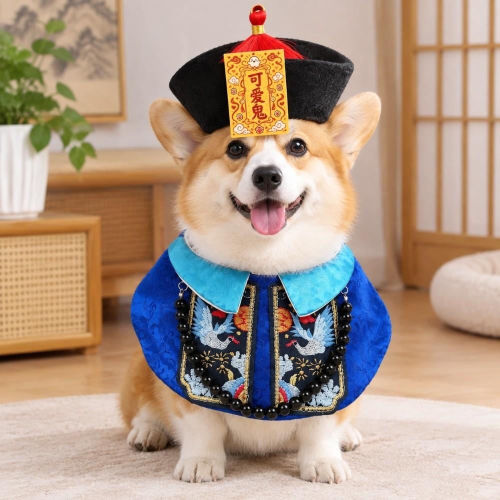 Funny Dog Clothes Chinese Style Pet Zombie Clothes Pet Supplies Halloween Pet Costume  Halloween