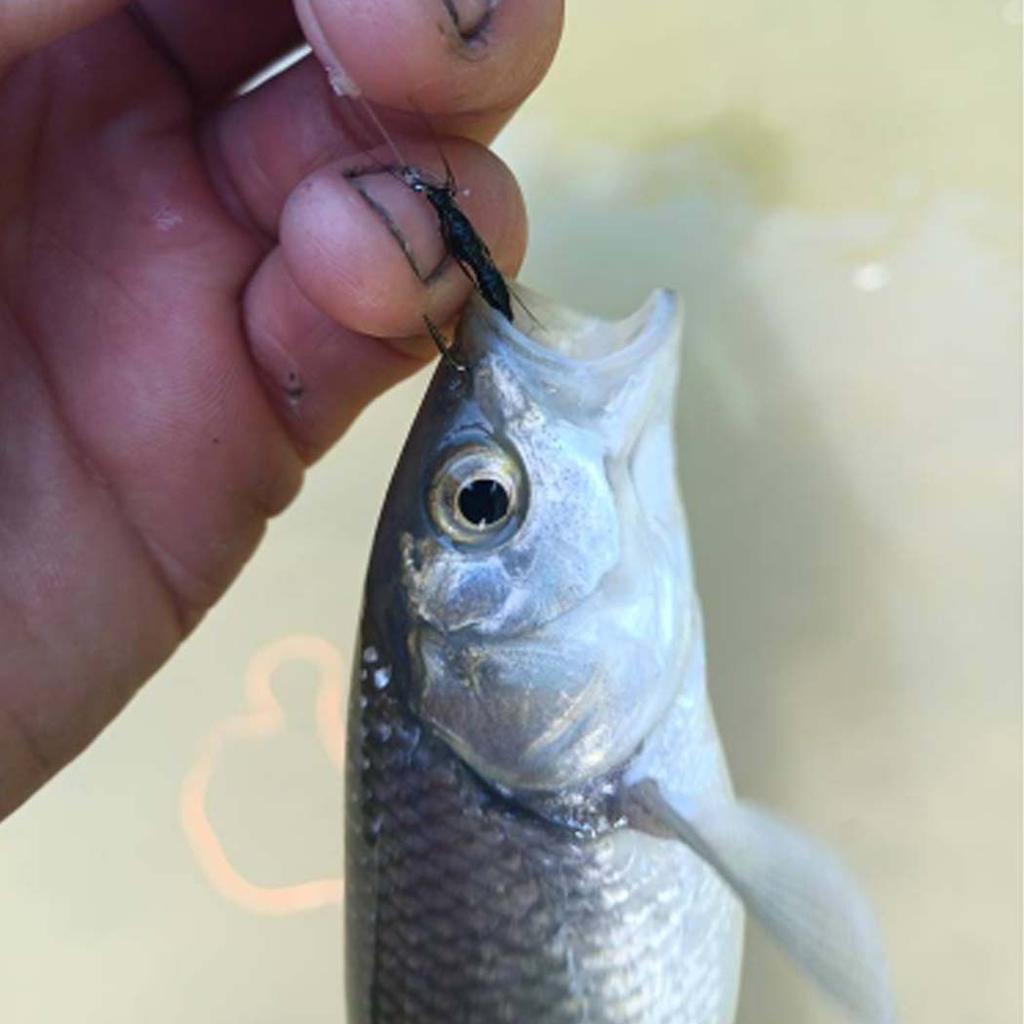 Fly Fishing Flies Kit, 24Pcs/Set Handmade Flies Fishing Lure, Dry/Wet Flies Fishing For Trout Bass Biomimetic Bait Lure, With Flies Box