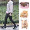 With Straps Hedgehog Zipper Bag Hamster Carrier Small Pet Carrier Bag Hamster Carrier Bag Handbag
