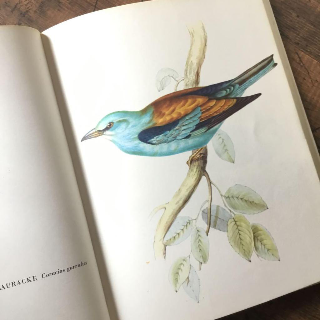 [Б/У] Иностранные книги, немецкие определители птиц, старые книги, винтажные книги