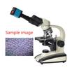 37MP 1080P 60FPS HDMI USB Industrial Microscope Camera with Conversion Adapter