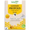 Herbalgem Propolis Large Spectre Gorge Gommes Bio 24 Gommes