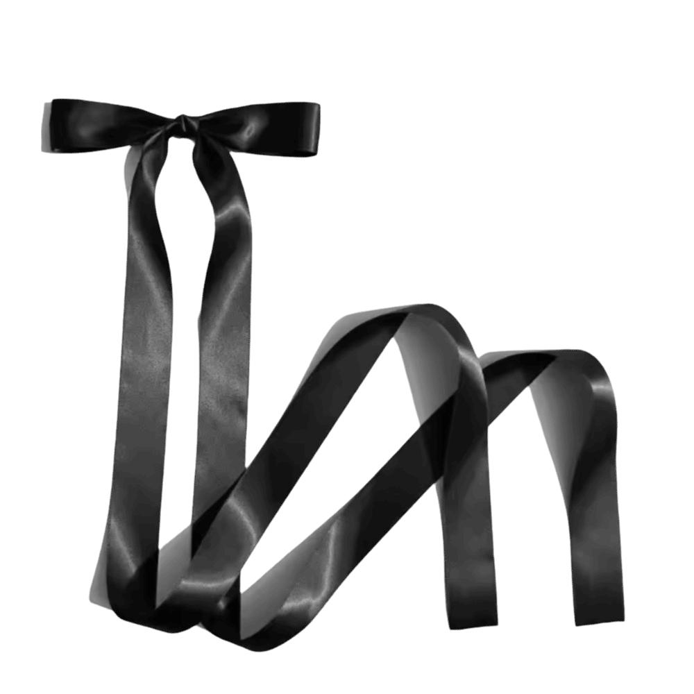 Sweet Extra Long Ribbon Bow Hairpin Satin Hair Accessories Cute Bowknot JK Hair Clip Fashion