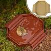 with Ramp Tortoise Water Dish Plastic Reptile Pool Dish Food Bowl Turtle Bath Tub  Amphibians