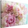 Canvas Print, Pink Peony Flowers