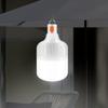 LED Charging Light Bulb High Power Outdoor Portable Camping Light USB Charging Lamp Emergency Power Outage Lighting Light Bulb