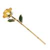 Preserved Rose 24K Gold Plated Bright Luster Rich Details Naturally Gold Dipped Rose with Holder