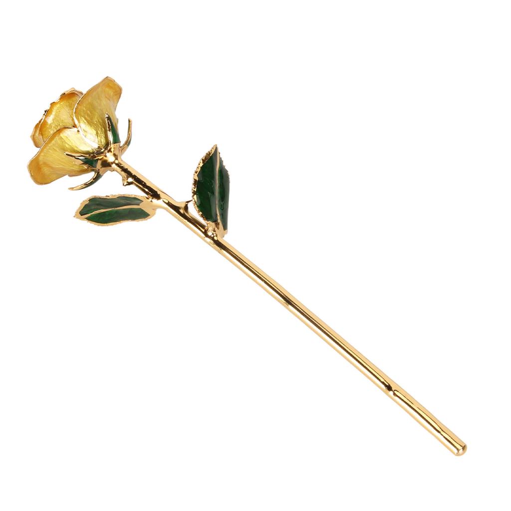 Preserved Rose 24K Gold Plated Bright Luster Rich Details Naturally Gold Dipped Rose with Holder