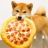Dog Crinkle Toy: Plush Pizza Teething Sound Toy for Medium-Large Breeds, Shiba Inu & Corgi Boredom Relief.