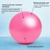 Женский тренажерный зал Йога Фитнес Мяч Утолщенный Тип Взрывозащищенный Диаметр 25 см Пилатес Тренировка Мини-мяч Скульптурирование Ног И Бедер