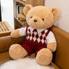 Cute Teddy Bear Plush Toy For Couple Creative Sweater Design Birthday Gift For Girls Pp Cotton Filling Short Plush 45cm