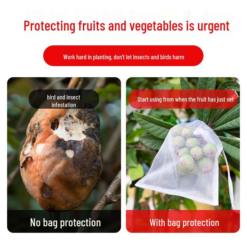 Bird and Insect Proof Fruit Bag: Protective Net with Drawstring for Grapes, Figs, and Pomegranates